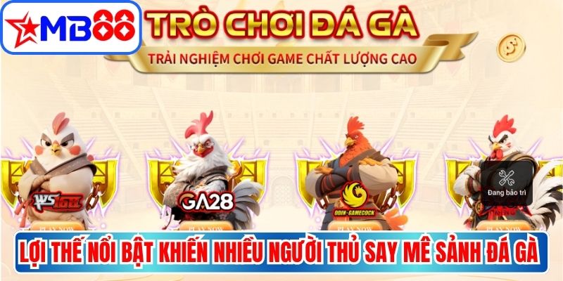 Những lợi thế nổi bật khiến nhiều người thủ say mê sảnh đá gà MB88